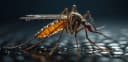 Le Redoutable Moustique Tigre Sévit en Côte d'Ivoire: Agissez Vite Avant l'Invasion !